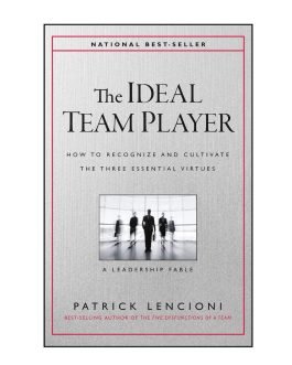 80% off on The Ideal Team Player