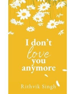 I Don't Love You Anymore - Rithvik Singh