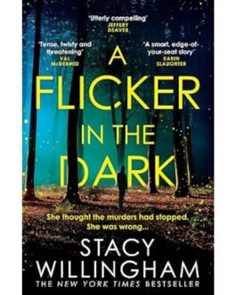 A Flicker in the Dark - Stacy Wilingham