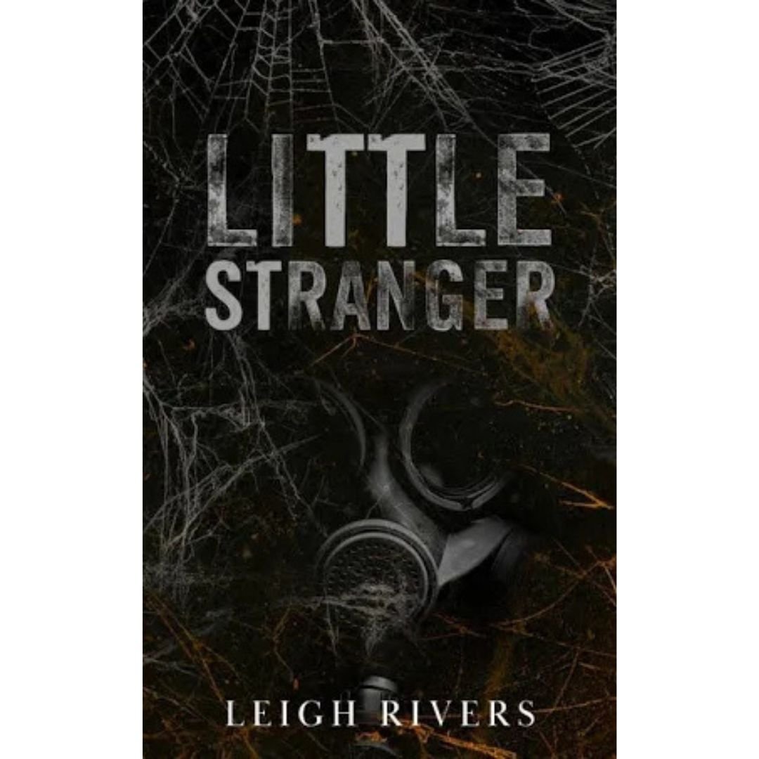 Little Stranger - Leigh Rivers